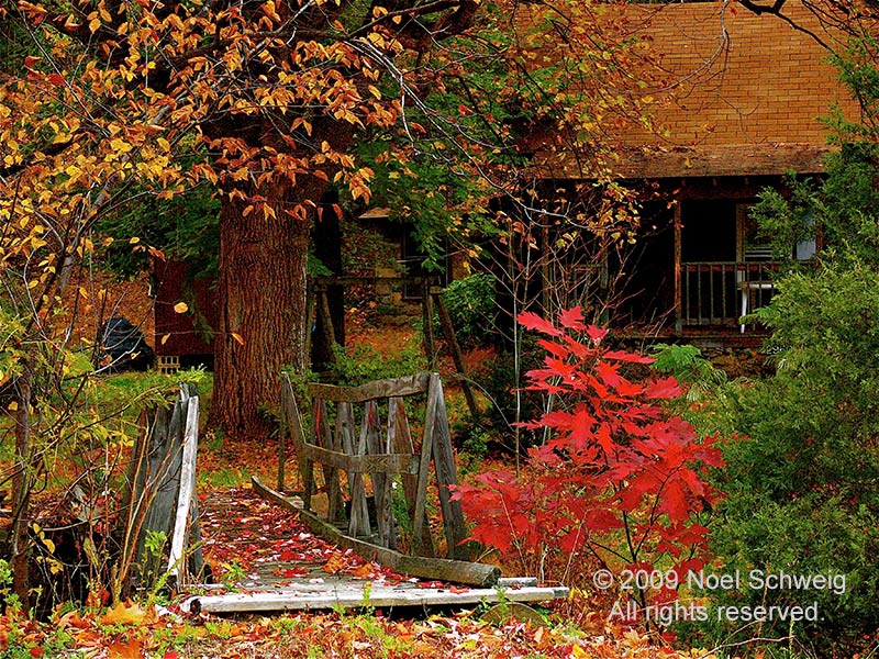 Noel Schweig Nature Photography