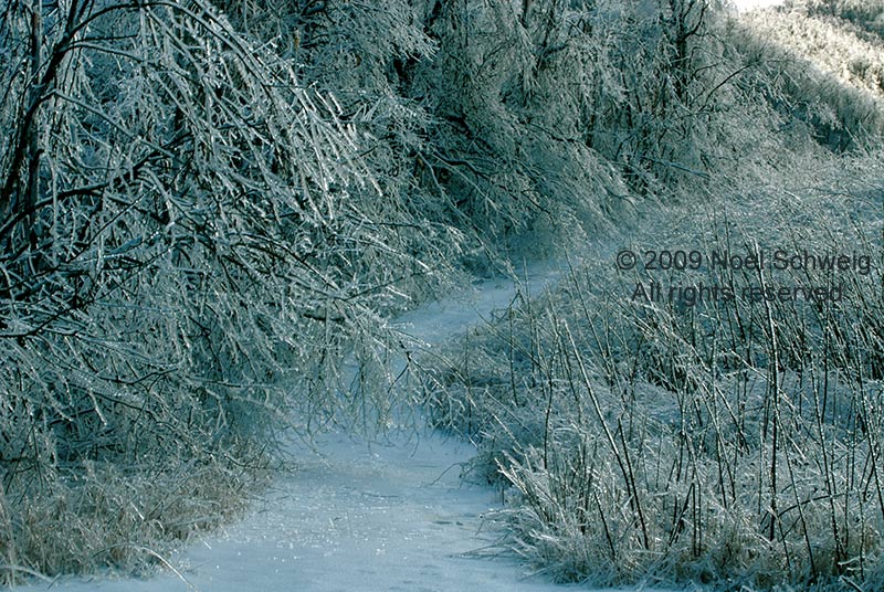 Noel Schweig Water and Ice #10