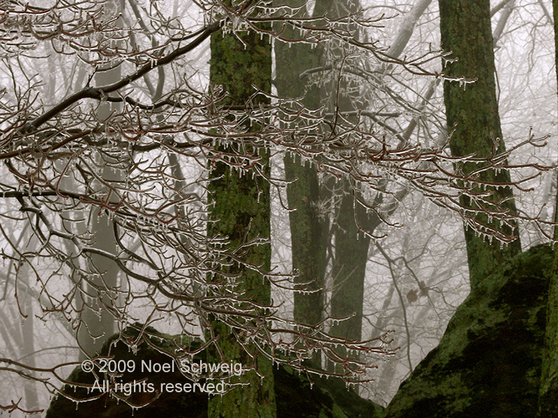 Noel Schweig Water and Ice #17