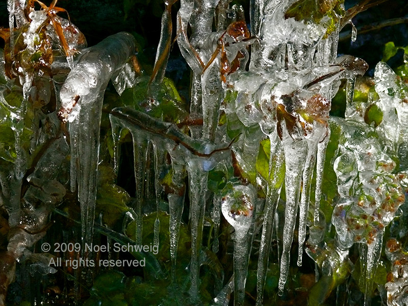 Noel Schweig Water and Ice #7