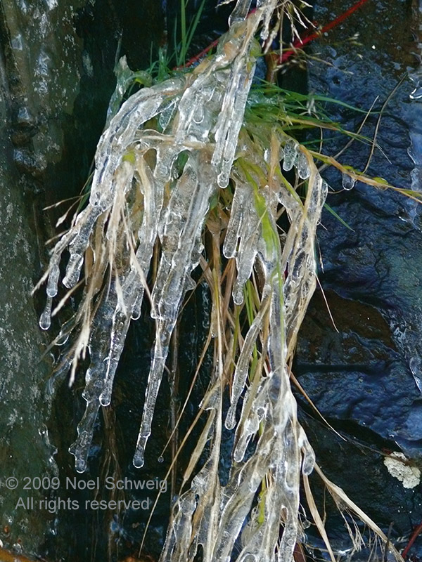 Noel Schweig Water and Ice #8