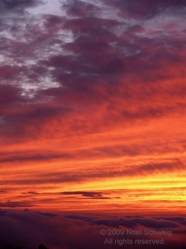 Noel Schweig Landscapes #10