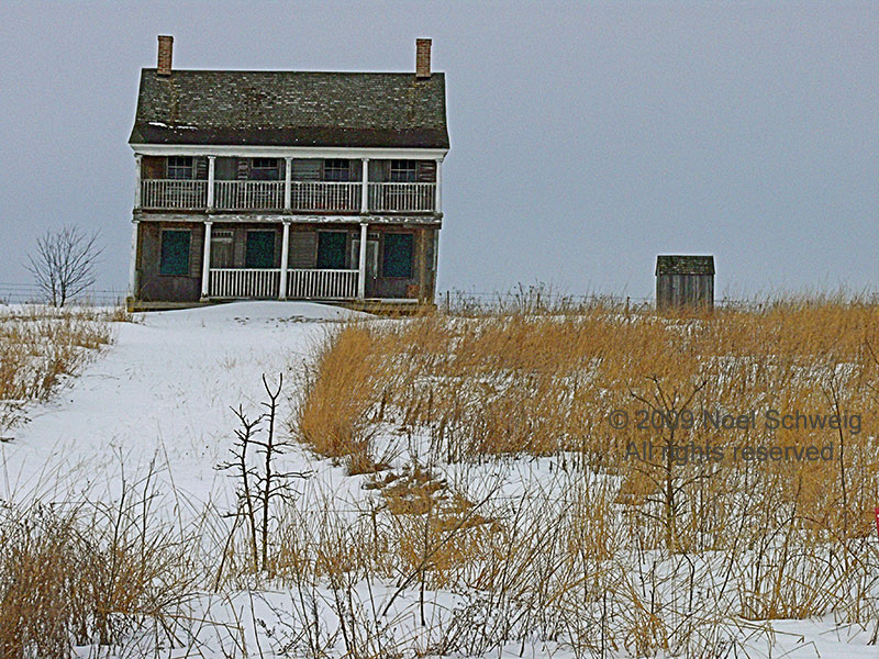 Noel Schweig Landscapes #11