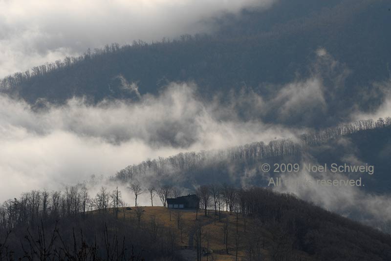 Noel Schweig Landscapes #12