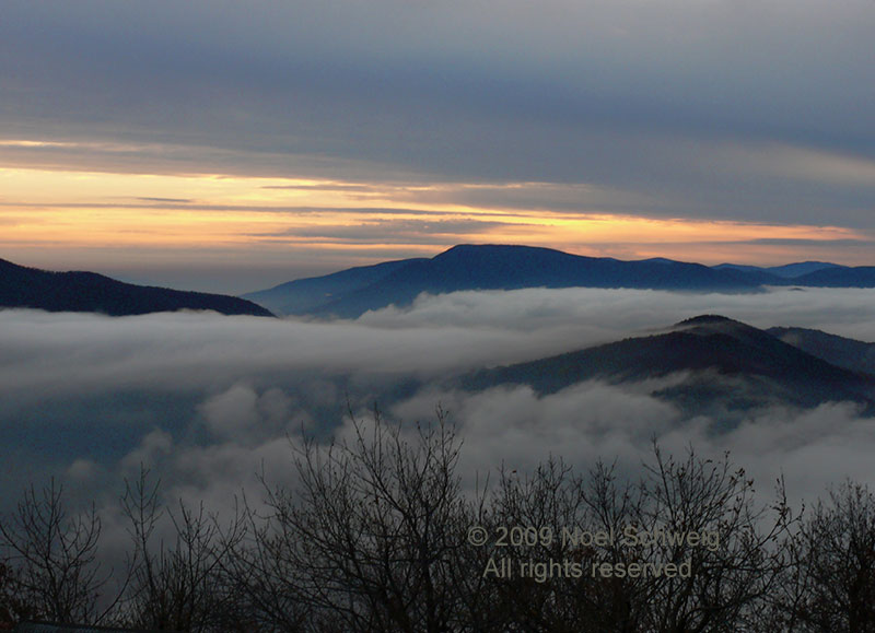 Noel Schweig Landscapes #16