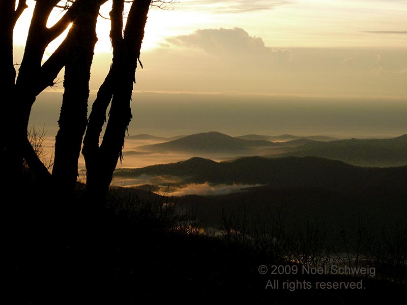 Noel Schweig Landscapes #17