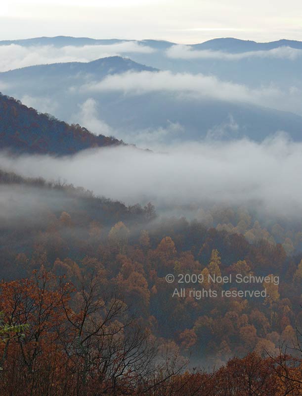 Noel Schweig Landscapes #18