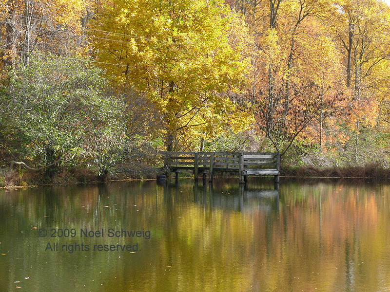 Noel Schweig Landscapes #20