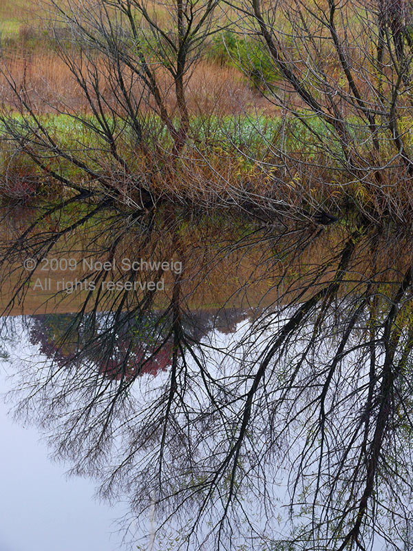 Noel Schweig Landscapes #23