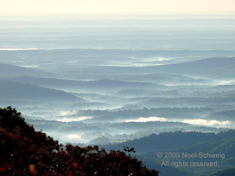 Noel Schweig Landscapes #5