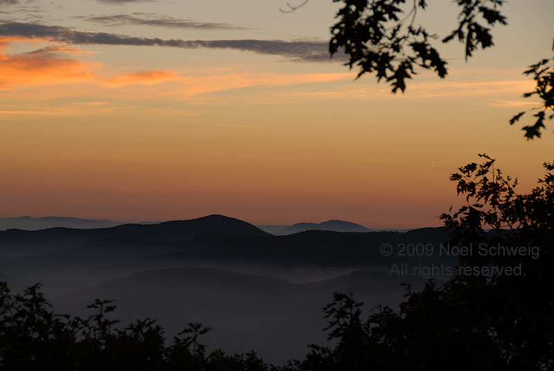 Noel Schweig Landscapes #6