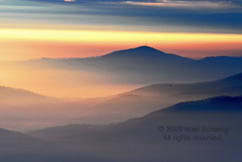 Noel Schweig Landscapes #7